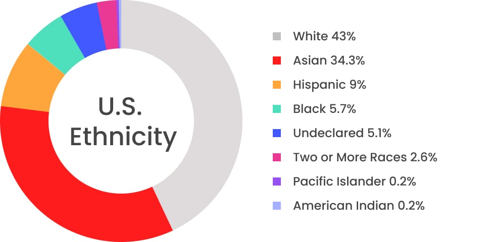 Company Ethnicity Chart